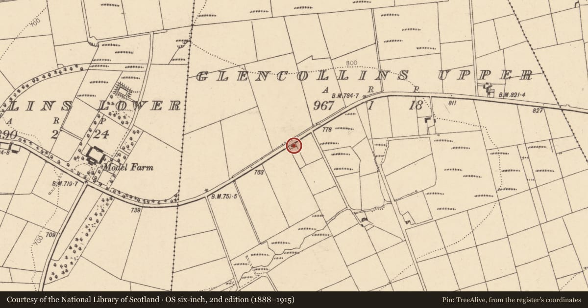 Ordnance Survey six-inch map, 2nd edition (1888–1915) covering the location of House - vernacular house, Glencollins Upper, County Cork, with a pin at the register's coordinates