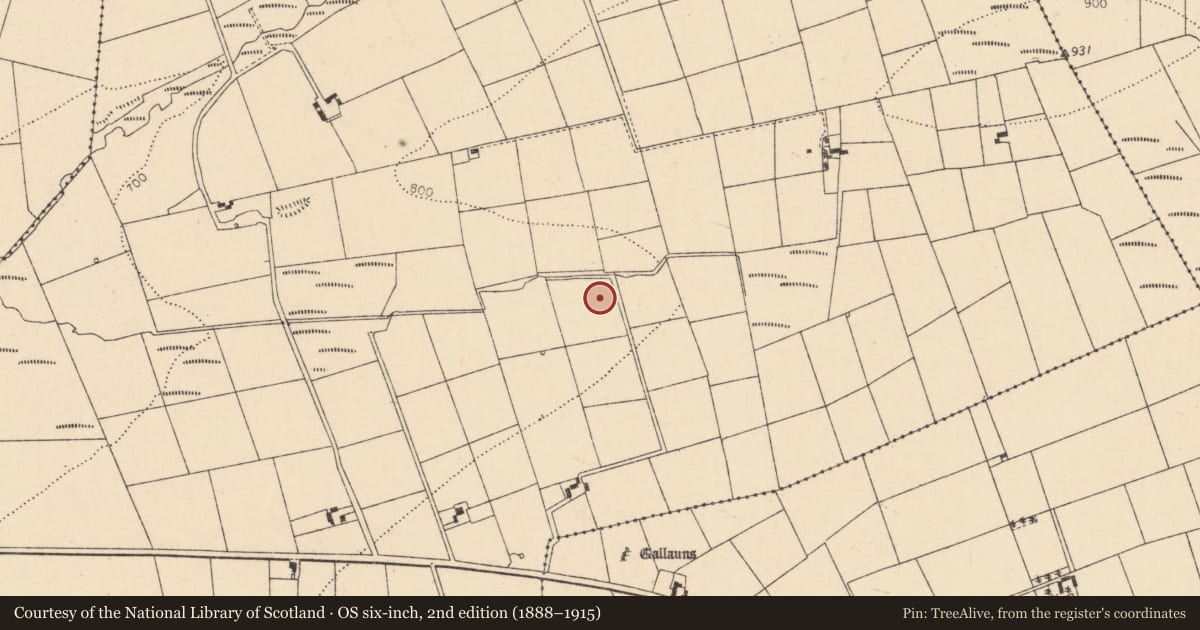 Ordnance Survey six-inch map, 2nd edition (1888–1915) covering the location of Fulacht fia, Glencollins Upper, County Cork, with a pin at the register's coordinates