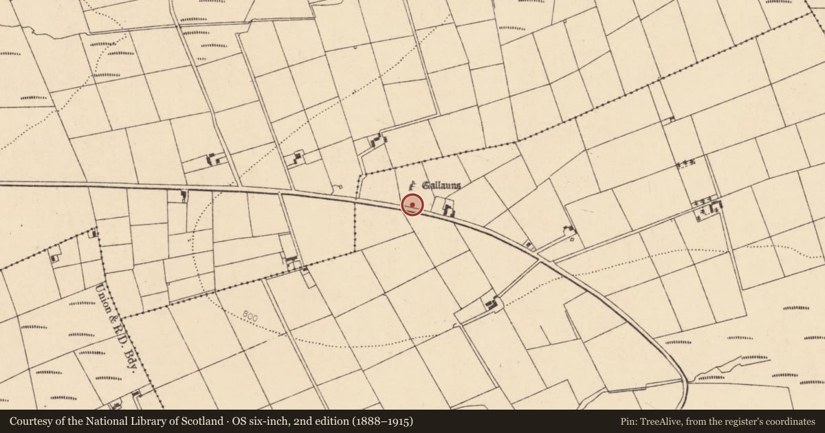 Ordnance Survey six-inch map, 2nd edition (1888–1915) covering the location of Barrow - ring-barrow, Tooreenglanahee, County Cork, with a pin at the register's coordinates
