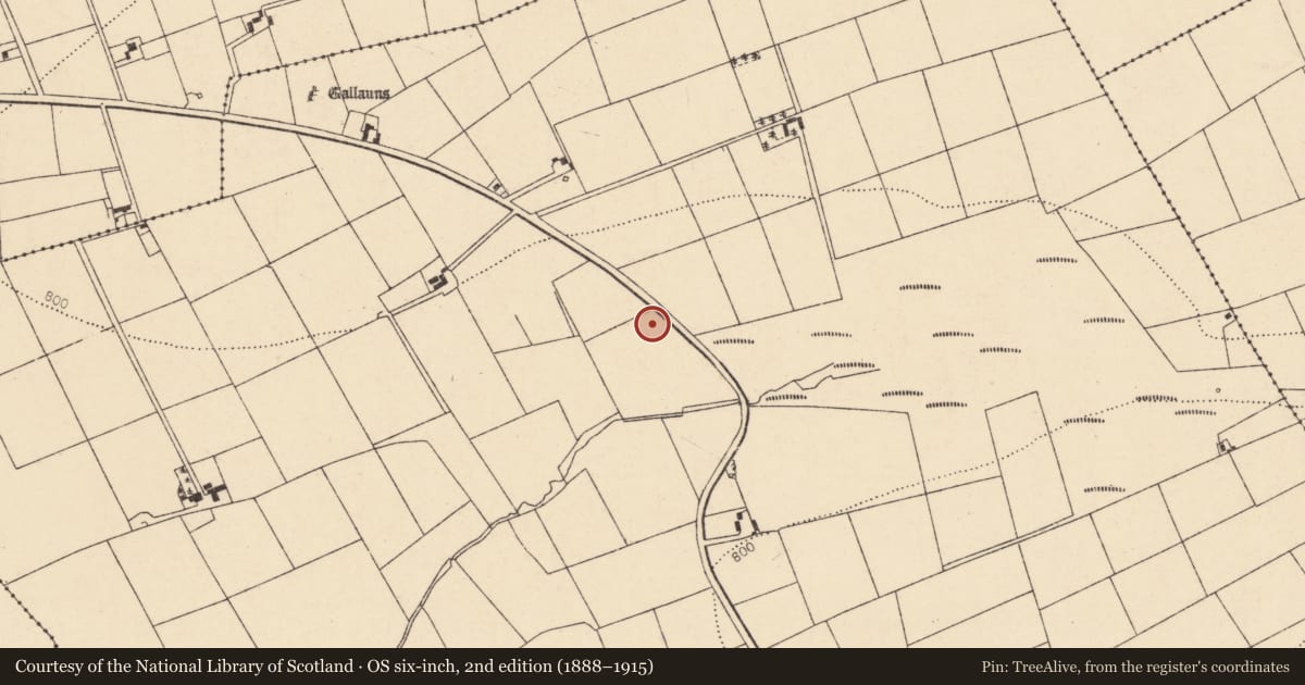 Ordnance Survey six-inch map, 2nd edition (1888–1915) covering the location of Fulacht fia, Tooreenglanahee, County Cork, with a pin at the register's coordinates