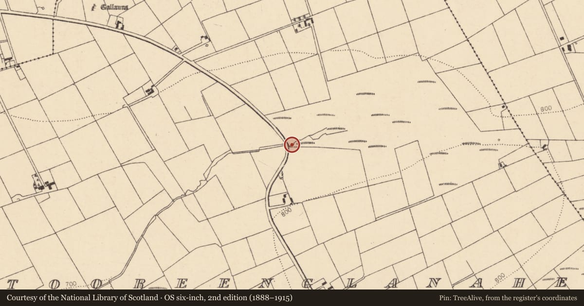 Ordnance Survey six-inch map, 2nd edition (1888–1915) covering the location of Fulacht fia, Tooreenglanahee, County Cork, with a pin at the register's coordinates