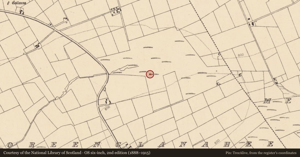Ordnance Survey six-inch map, 2nd edition (1888–1915) covering the location of Fulacht fia, Tooreenglanahee, County Cork, with a pin at the register's coordinates