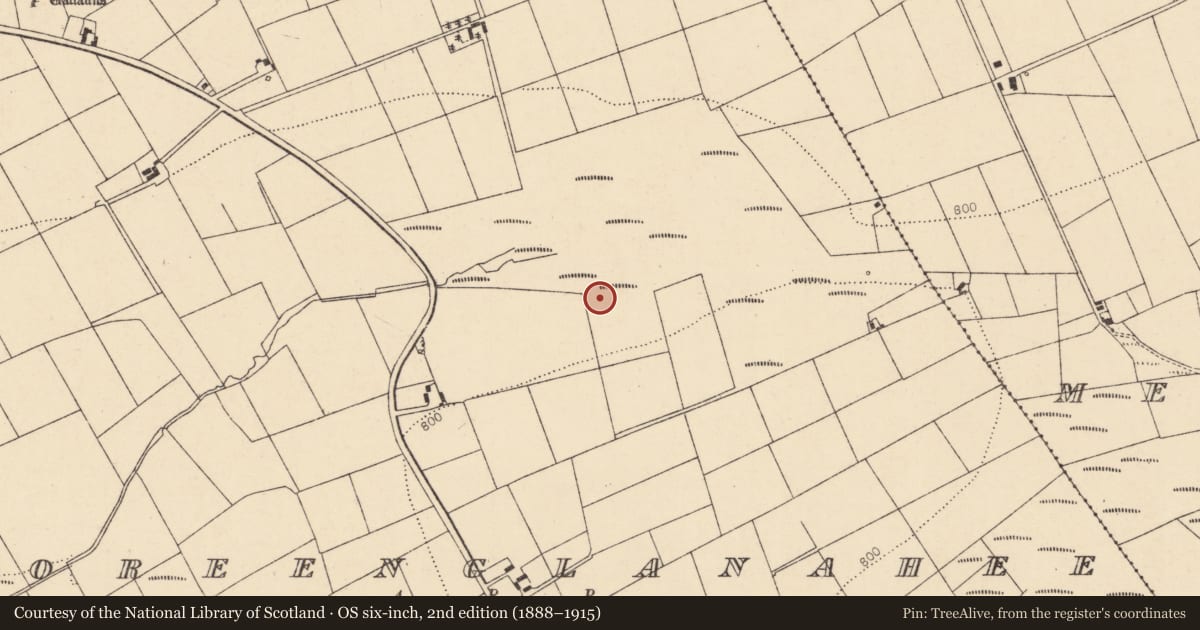 Ordnance Survey six-inch map, 2nd edition (1888–1915) covering the location of Fulacht fia, Tooreenglanahee, County Cork, with a pin at the register's coordinates