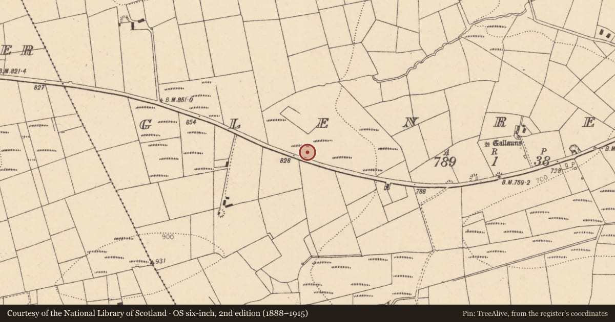 Ordnance Survey six-inch map, 2nd edition (1888–1915) covering the location of Fulacht fia, Glenreagh, County Cork, with a pin at the register's coordinates