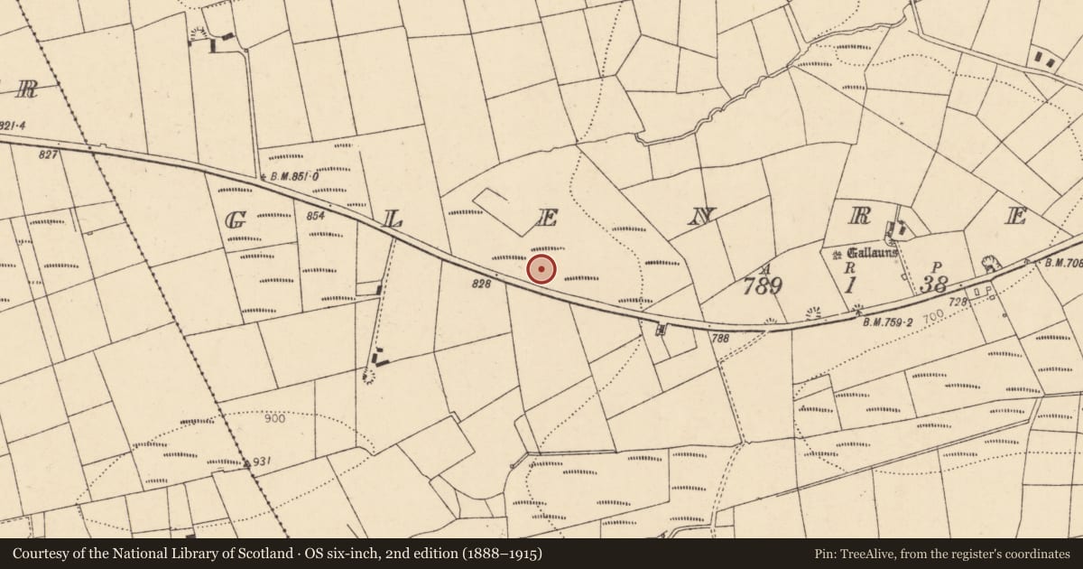 Ordnance Survey six-inch map, 2nd edition (1888–1915) covering the location of Fulacht fia, Glenreagh, County Cork, with a pin at the register's coordinates