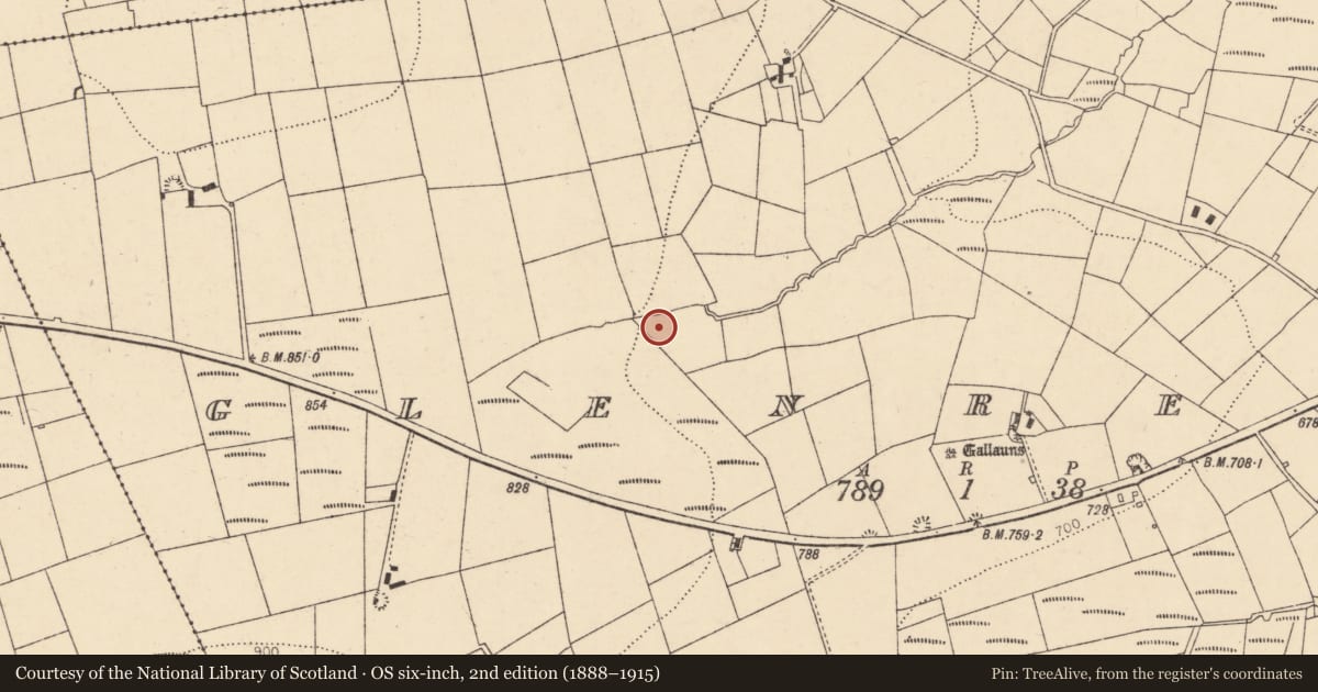 Ordnance Survey six-inch map, 2nd edition (1888–1915) covering the location of Fulacht fia, Glenreagh, County Cork, with a pin at the register's coordinates