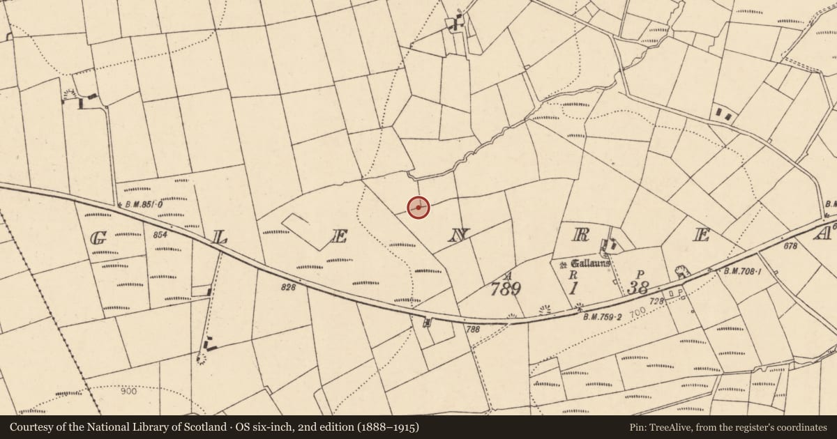 Ordnance Survey six-inch map, 2nd edition (1888–1915) covering the location of Fulacht fia, Glenreagh, County Cork, with a pin at the register's coordinates