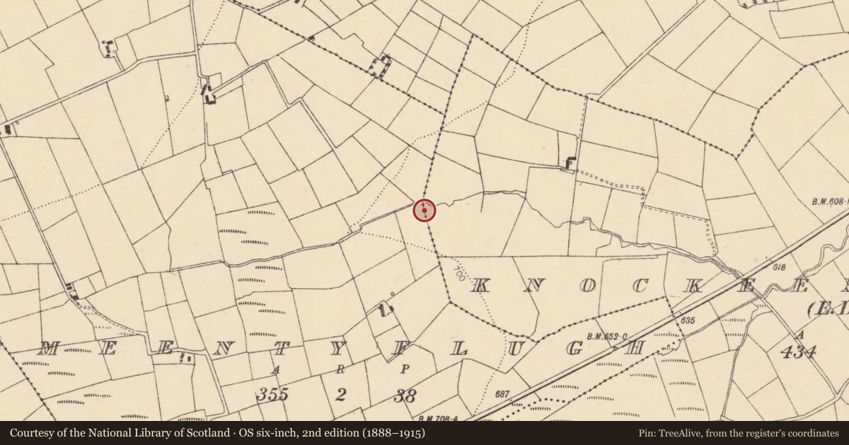 Ordnance Survey six-inch map, 2nd edition (1888–1915) covering the location of Fulacht fia, Meentyflugh, County Cork, with a pin at the register's coordinates