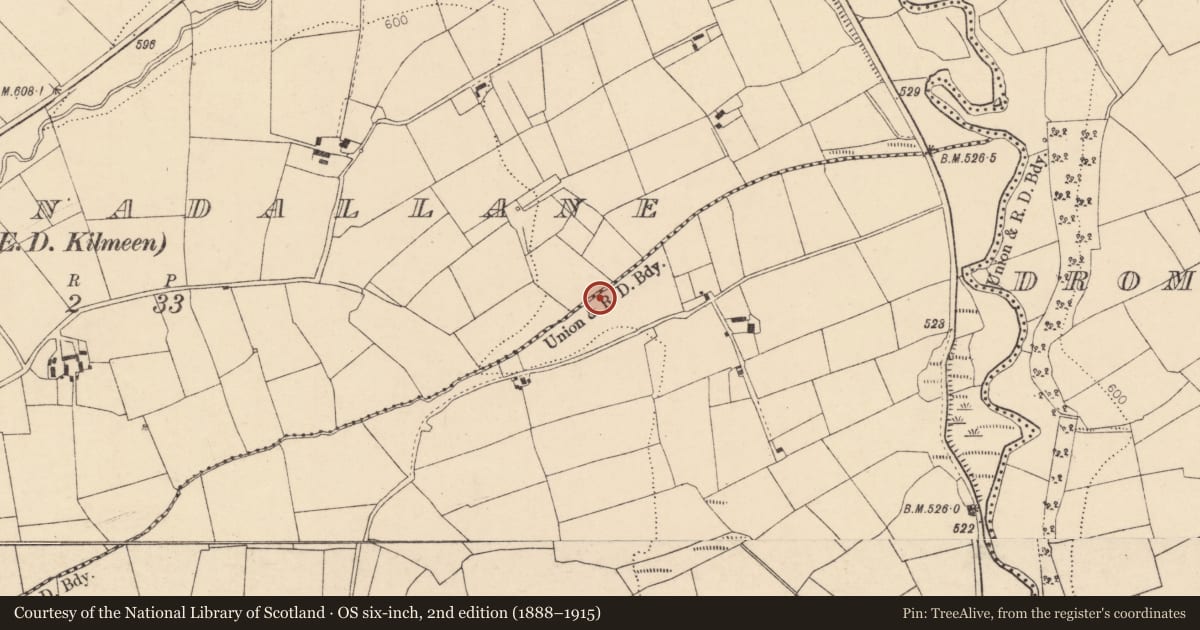 Ordnance Survey six-inch map, 2nd edition (1888–1915) covering the location of Fulacht fia, Doonasleen North, County Cork, with a pin at the register's coordinates