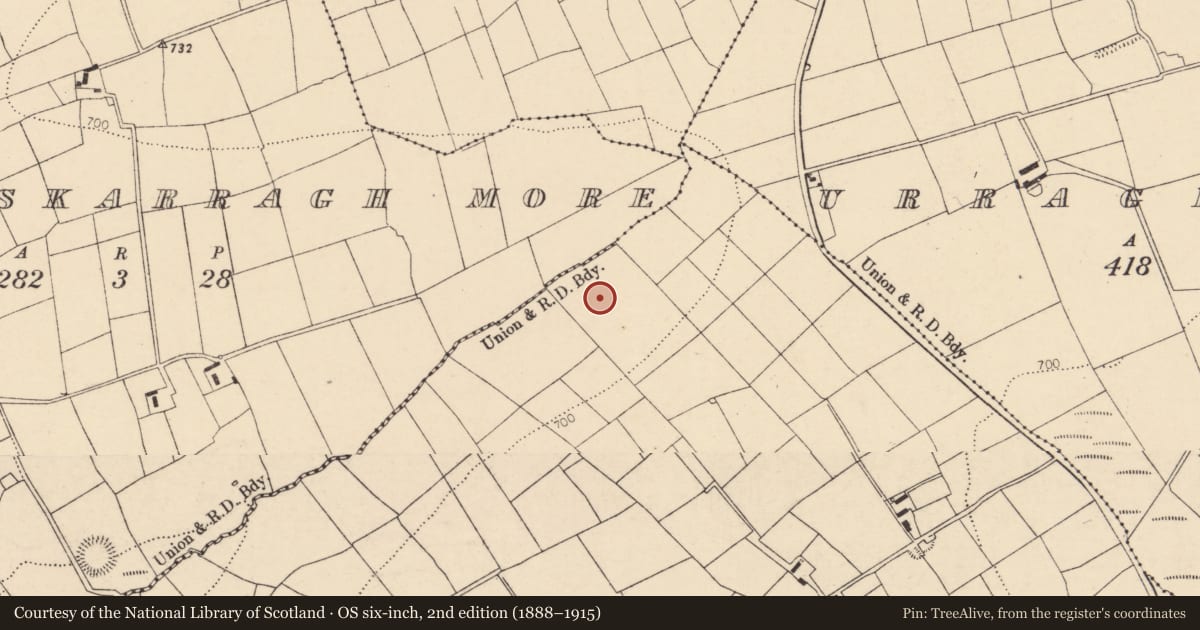 Ordnance Survey six-inch map, 2nd edition (1888–1915) covering the location of Fulacht fia, Urraghilmore (East), County Cork, with a pin at the register's coordinates