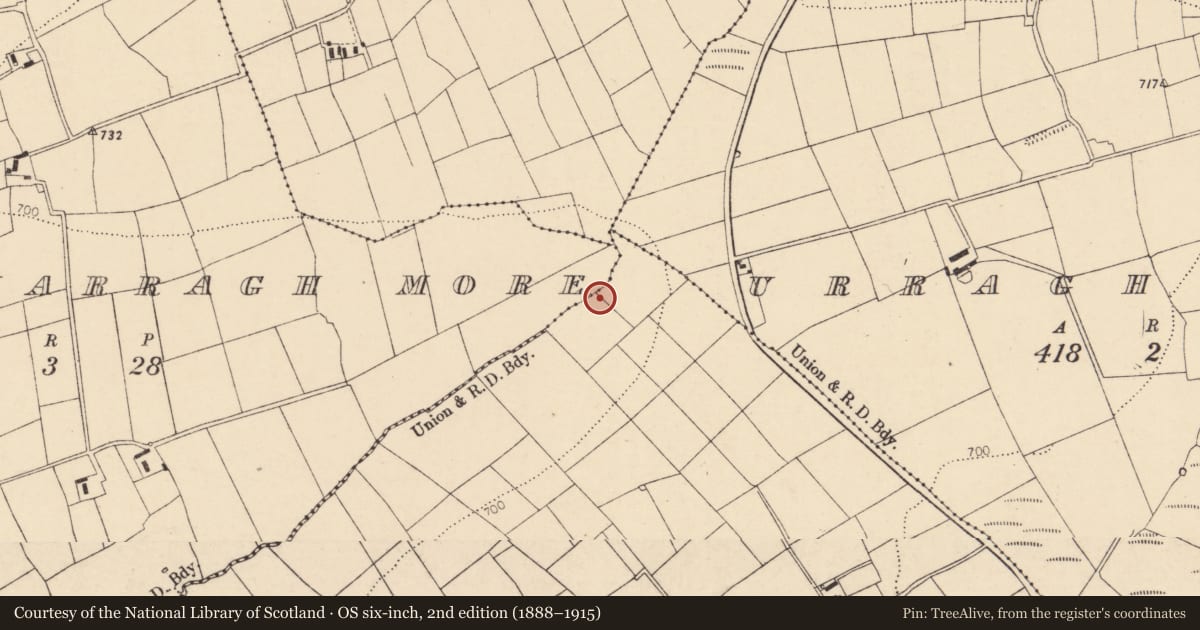 Ordnance Survey six-inch map, 2nd edition (1888–1915) covering the location of Fulacht fia, Urraghilmore (East), County Cork, with a pin at the register's coordinates