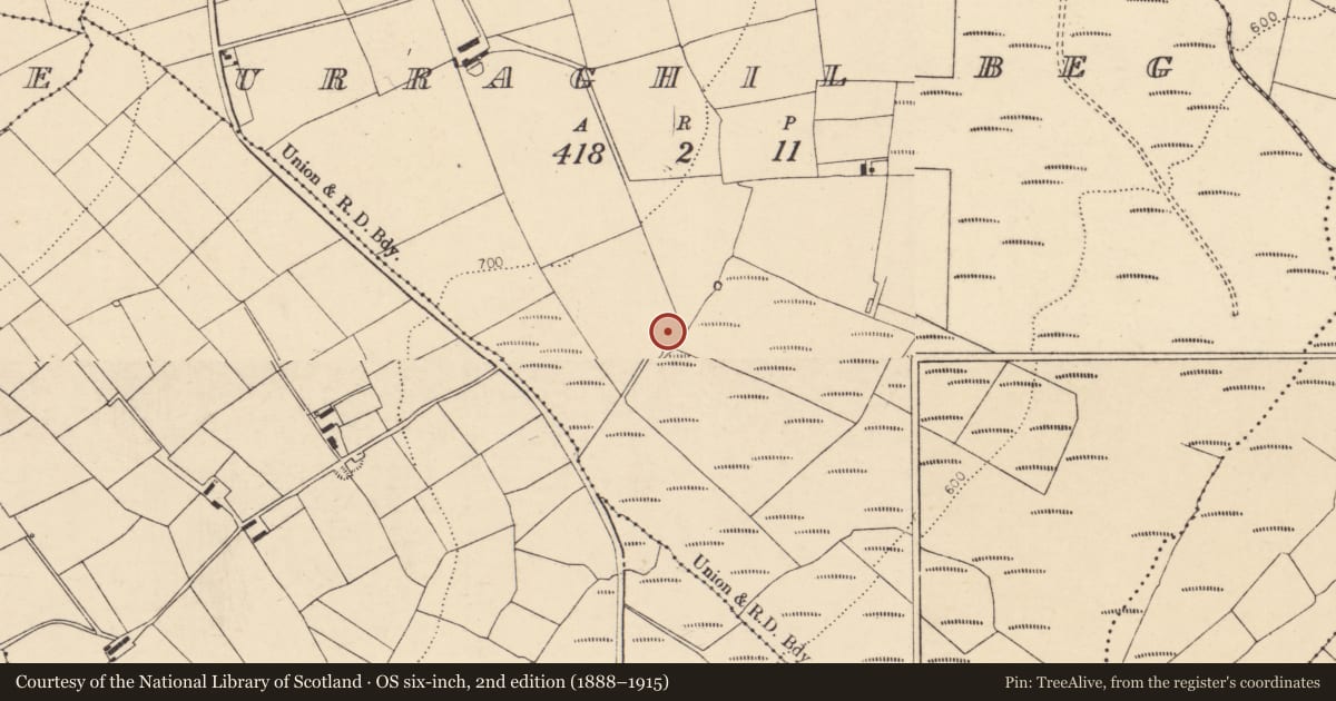 Ordnance Survey six-inch map, 2nd edition (1888–1915) covering the location of Kiln - lime, Urraghil Beg, County Cork, with a pin at the register's coordinates