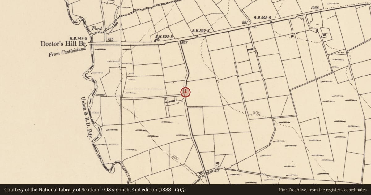 Ordnance Survey six-inch map, 2nd edition (1888–1915) covering the location of Kiln - lime, Carriganes, County Cork, with a pin at the register's coordinates