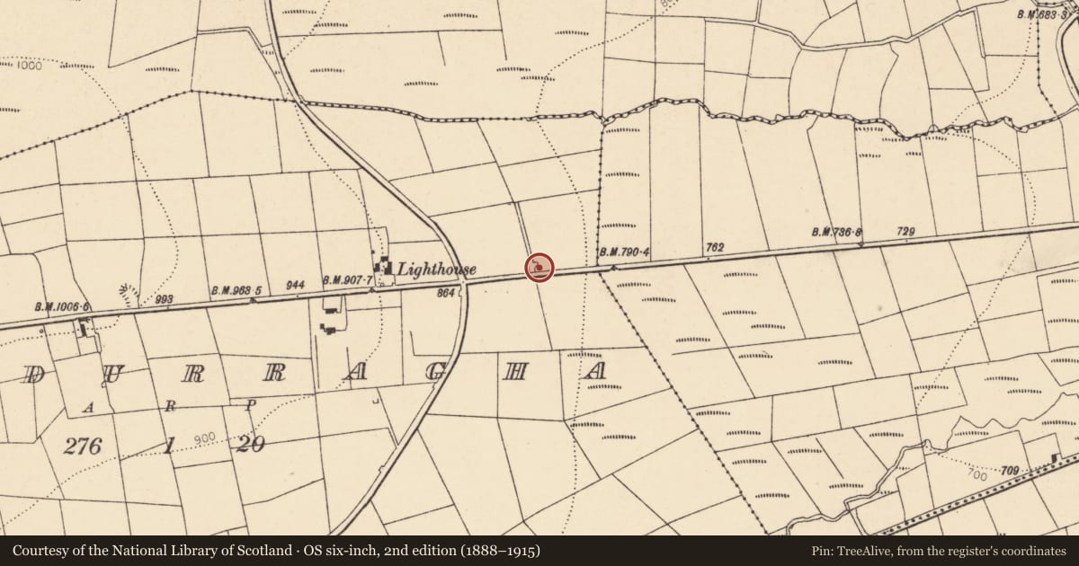 Ordnance Survey six-inch map, 2nd edition (1888–1915) covering the location of Kiln - lime, Meendurragha, County Cork, with a pin at the register's coordinates