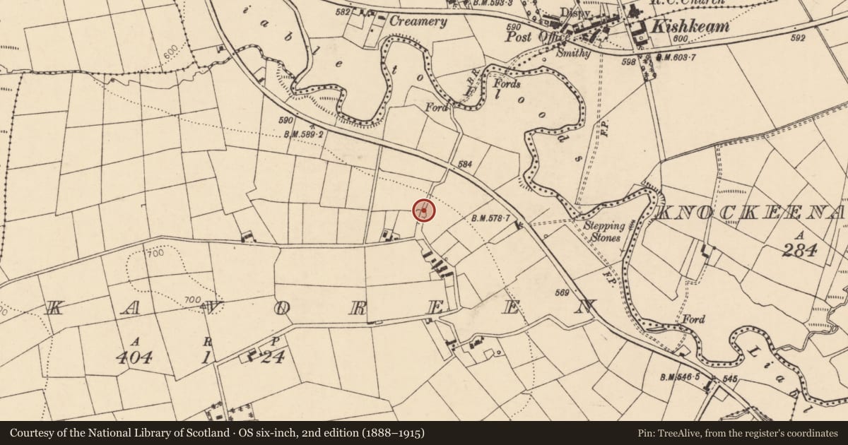Ordnance Survey six-inch map, 2nd edition (1888–1915) covering the location of Kiln - lime, Knockavoreen, County Cork, with a pin at the register's coordinates