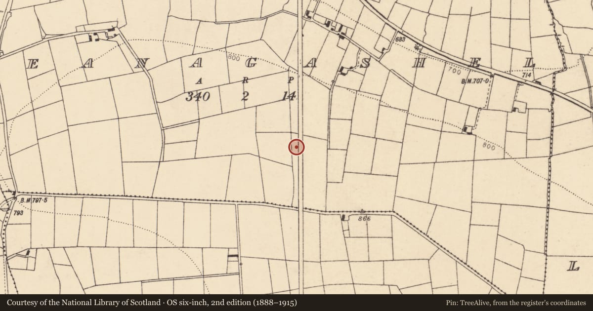 Ordnance Survey six-inch map, 2nd edition (1888–1915) covering the location of Barrow - ring-barrow, Reanagashel, County Cork, with a pin at the register's coordinates