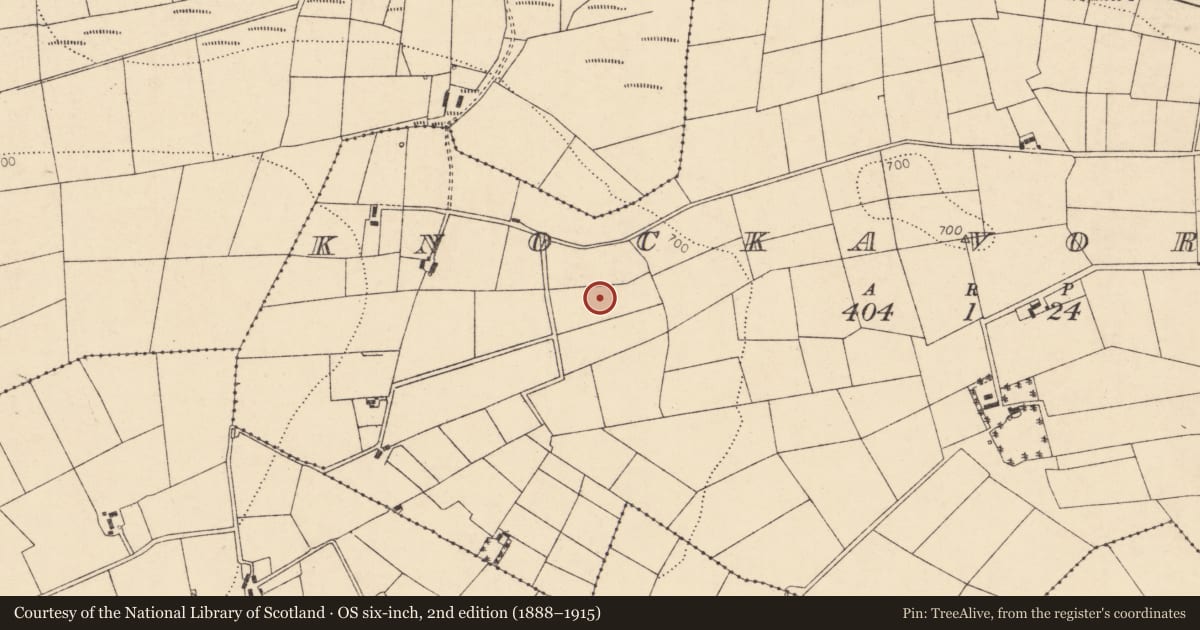 Ordnance Survey six-inch map, 2nd edition (1888–1915) covering the location of Megalithic tomb - unclassified, Knockavoreen, County Cork, with a pin at the register's coordinates