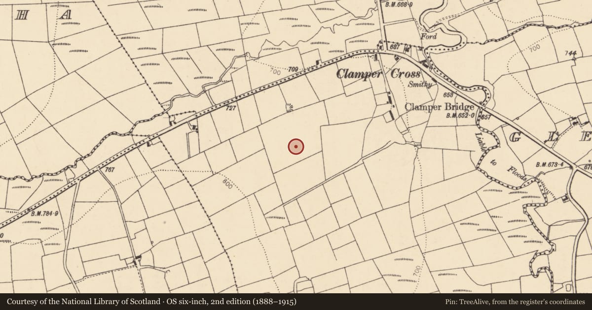 Ordnance Survey six-inch map, 2nd edition (1888–1915) covering the location of Barrow - ring-barrow, Knocknanagh Commons, County Cork, with a pin at the register's coordinates
