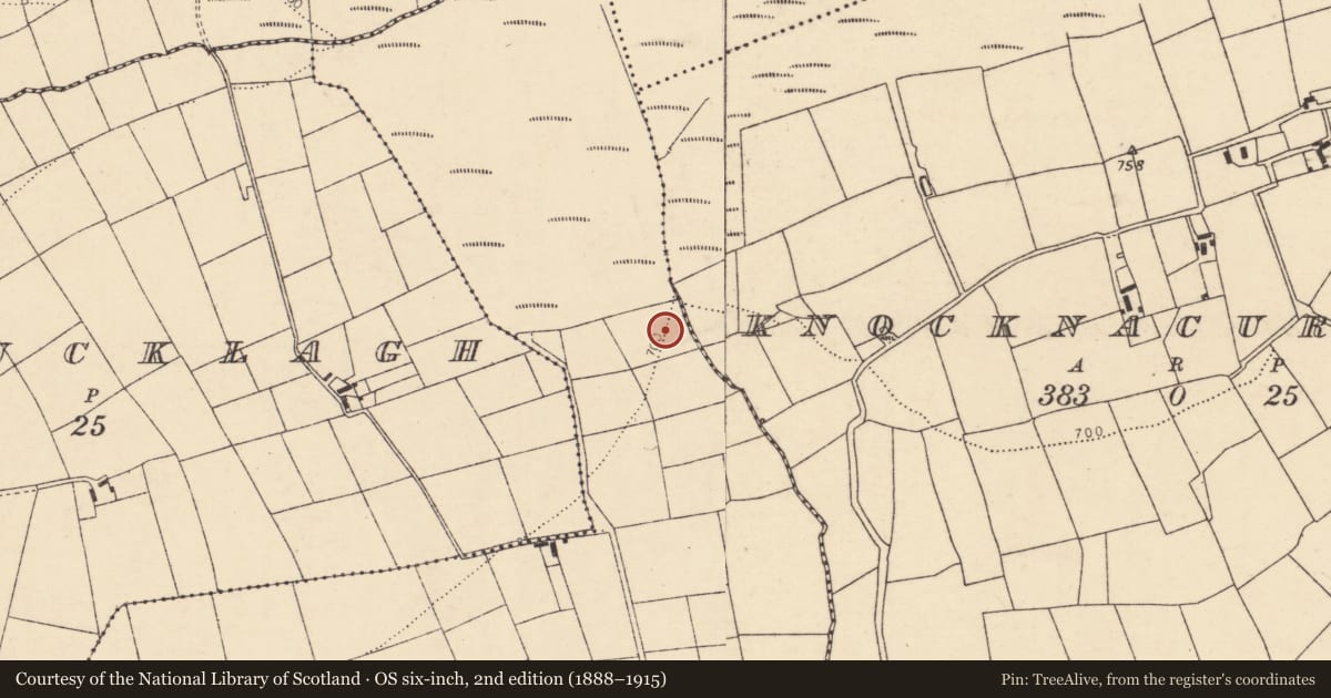 Ordnance Survey six-inch map, 2nd edition (1888–1915) covering the location of Burnt spread, Tooreenavuscaun, County Cork, with a pin at the register's coordinates