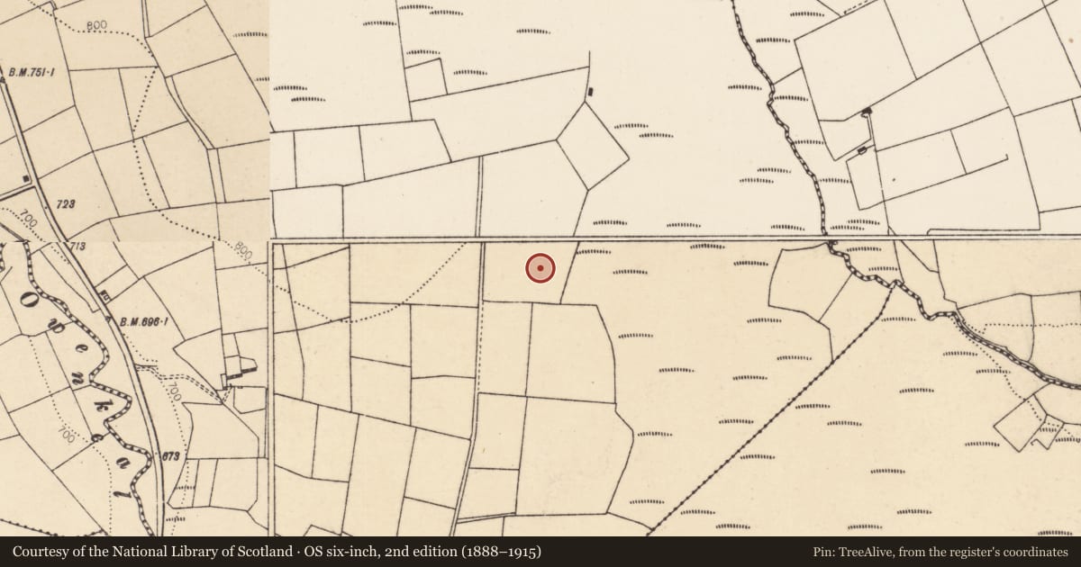 Ordnance Survey six-inch map, 2nd edition (1888–1915) covering the location of Fulacht fia, Glennamucklagh East, County Cork, with a pin at the register's coordinates