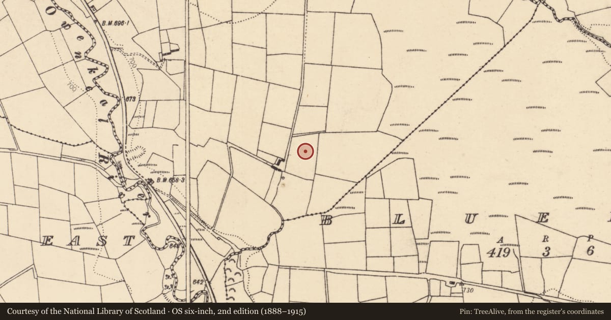 Ordnance Survey six-inch map, 2nd edition (1888–1915) covering the location of Fulacht fia, Glennamucklagh East, County Cork, with a pin at the register's coordinates