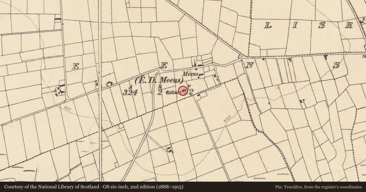 Ordnance Survey six-inch map, 2nd edition (1888–1915) covering the location of Standing stone, Meens (Duhallow By., Kilmeen Par.), County Cork, with a pin at the register's coordinates