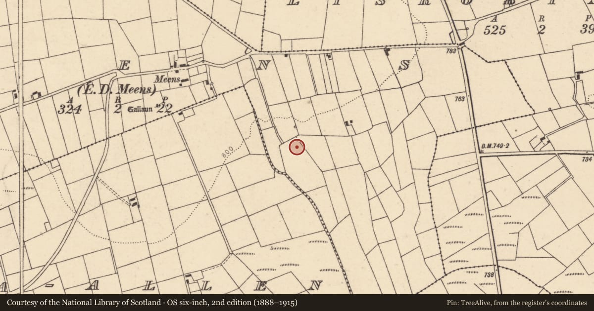 Ordnance Survey six-inch map, 2nd edition (1888–1915) covering the location of Fulacht fia, Meens (Duhallow By., Kilmeen Par.), County Cork, with a pin at the register's coordinates