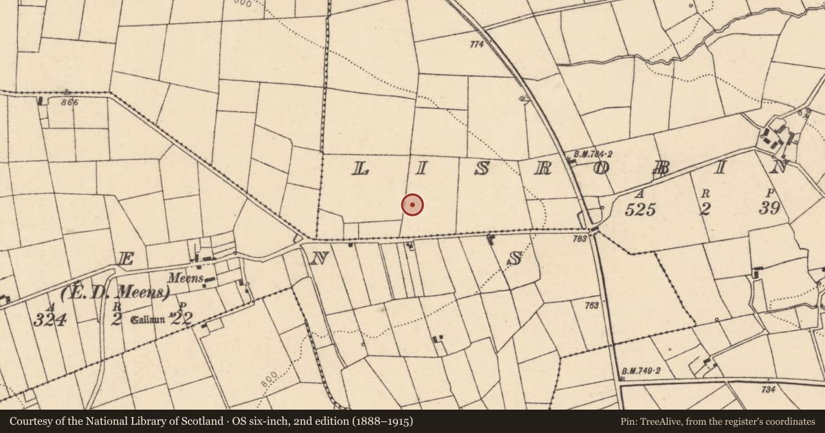 Ordnance Survey six-inch map, 2nd edition (1888–1915) covering the location of Fulacht fia, Lisrobin West, County Cork, with a pin at the register's coordinates