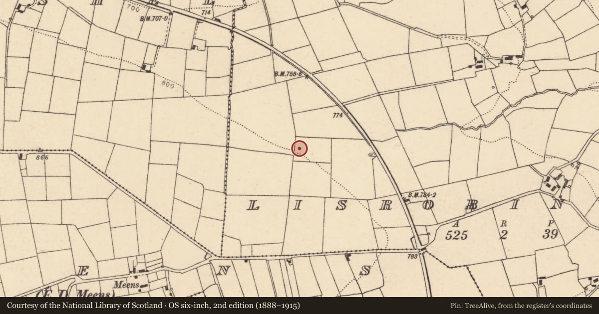 Ordnance Survey six-inch map, 2nd edition (1888–1915) covering the location of Fulacht fia, Lisrobin West, County Cork, with a pin at the register's coordinates