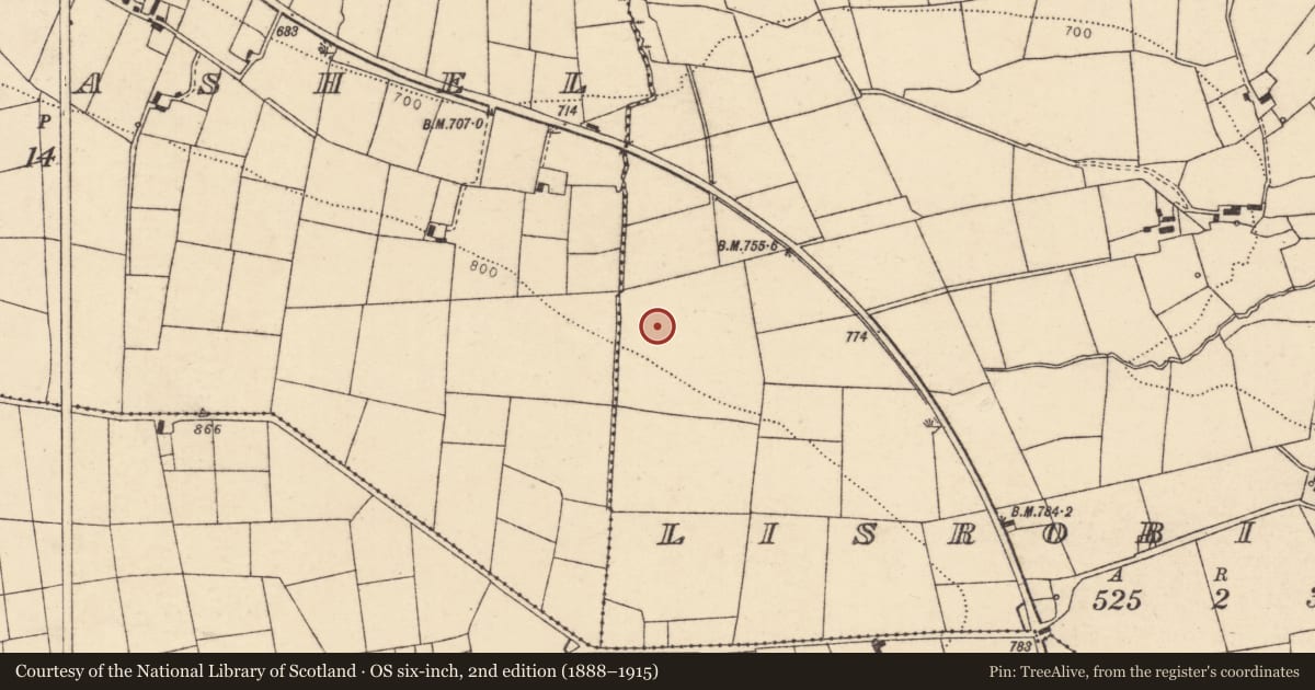Ordnance Survey six-inch map, 2nd edition (1888–1915) covering the location of Fulacht fia, Lisrobin West, County Cork, with a pin at the register's coordinates