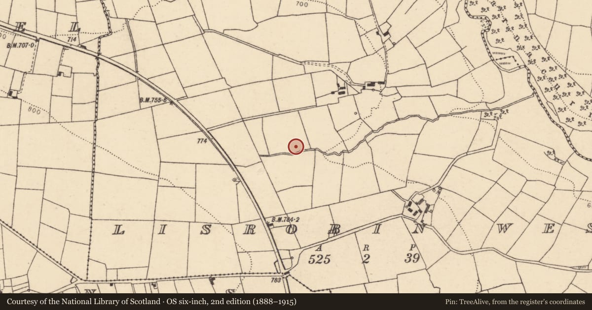 Ordnance Survey six-inch map, 2nd edition (1888–1915) covering the location of Fulacht fia, Lisrobin West, County Cork, with a pin at the register's coordinates