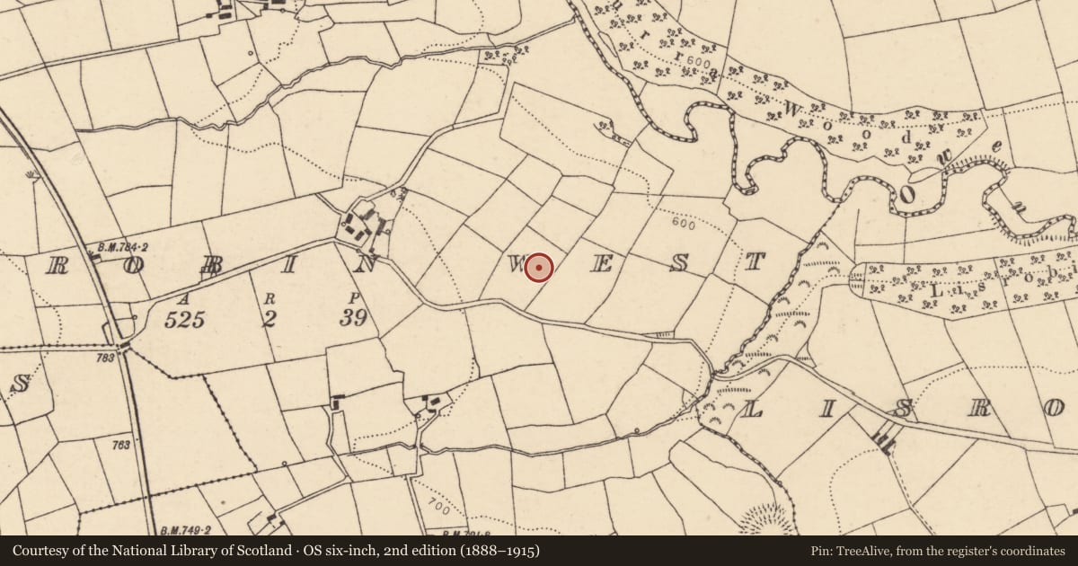 Ordnance Survey six-inch map, 2nd edition (1888–1915) covering the location of Fulacht fia, Lisrobin West, County Cork, with a pin at the register's coordinates