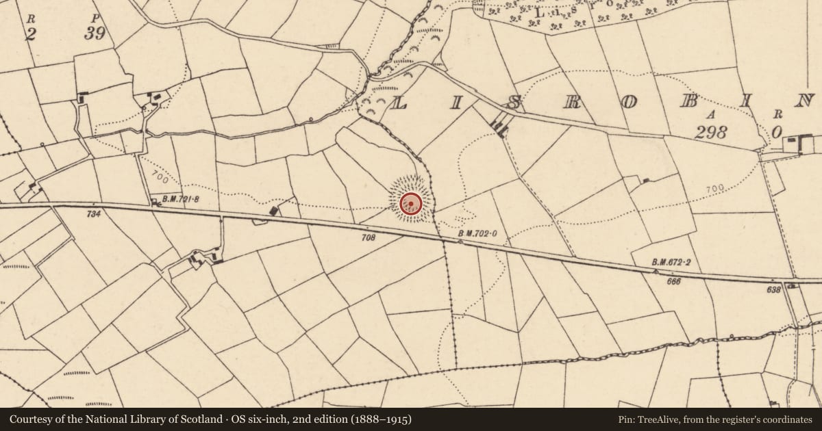 Ordnance Survey six-inch map, 2nd edition (1888–1915) covering the location of Ringfort - rath, Lisrobin West, County Cork, with a pin at the register's coordinates