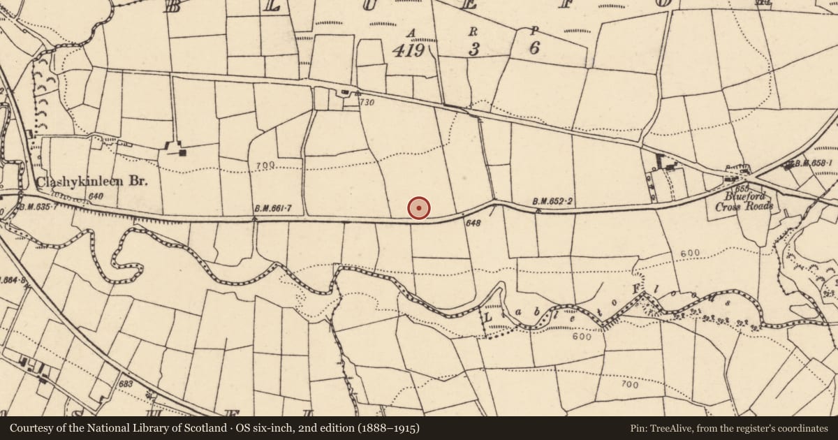 Ordnance Survey six-inch map, 2nd edition (1888–1915) covering the location of Fulacht fia, Blueford, County Cork, with a pin at the register's coordinates