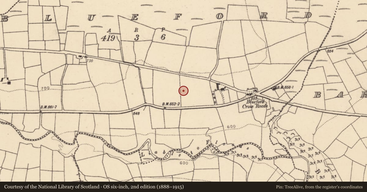 Ordnance Survey six-inch map, 2nd edition (1888–1915) covering the location of Fulacht fia, Blueford, County Cork, with a pin at the register's coordinates