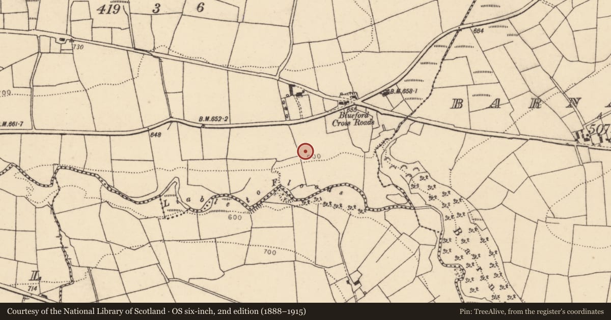 Ordnance Survey six-inch map, 2nd edition (1888–1915) covering the location of Fulacht fia, Blueford, County Cork, with a pin at the register's coordinates
