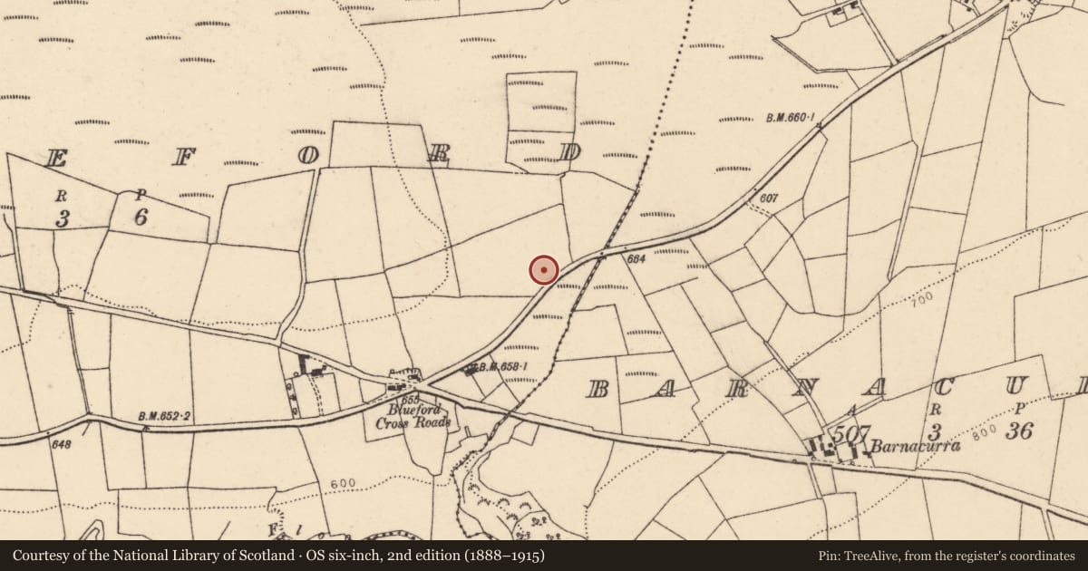Ordnance Survey six-inch map, 2nd edition (1888–1915) covering the location of Fulacht fia, Blueford, County Cork, with a pin at the register's coordinates