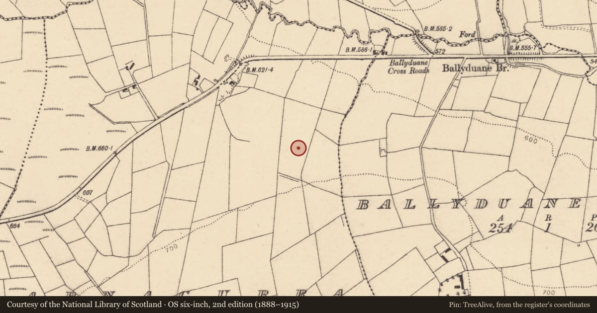 Ordnance Survey six-inch map, 2nd edition (1888–1915) covering the location of Standing stone, Barnacurra, County Cork, with a pin at the register's coordinates