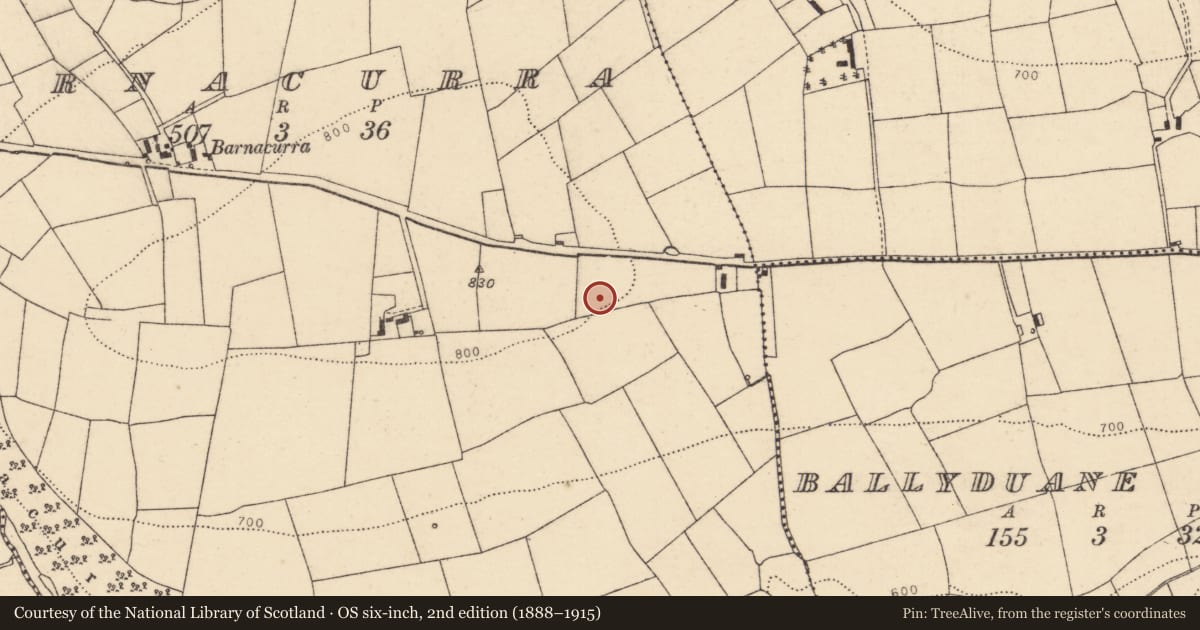 Ordnance Survey six-inch map, 2nd edition (1888–1915) covering the location of Standing stone, Barnacurra, County Cork, with a pin at the register's coordinates