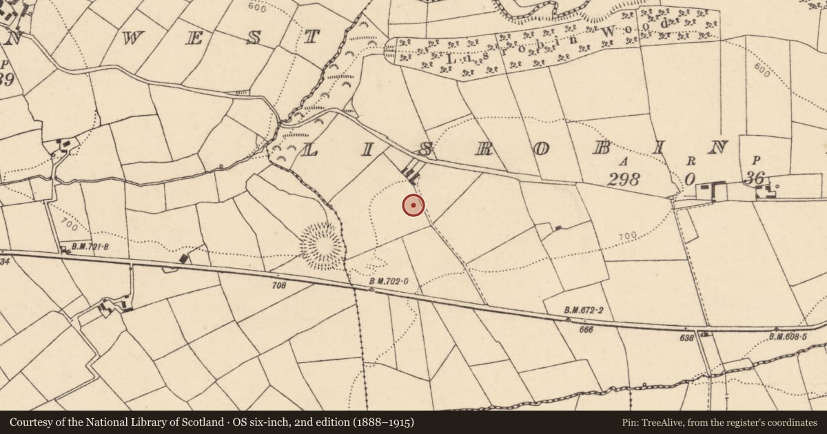 Ordnance Survey six-inch map, 2nd edition (1888–1915) covering the location of Standing stone, Lisrobin East, County Cork, with a pin at the register's coordinates