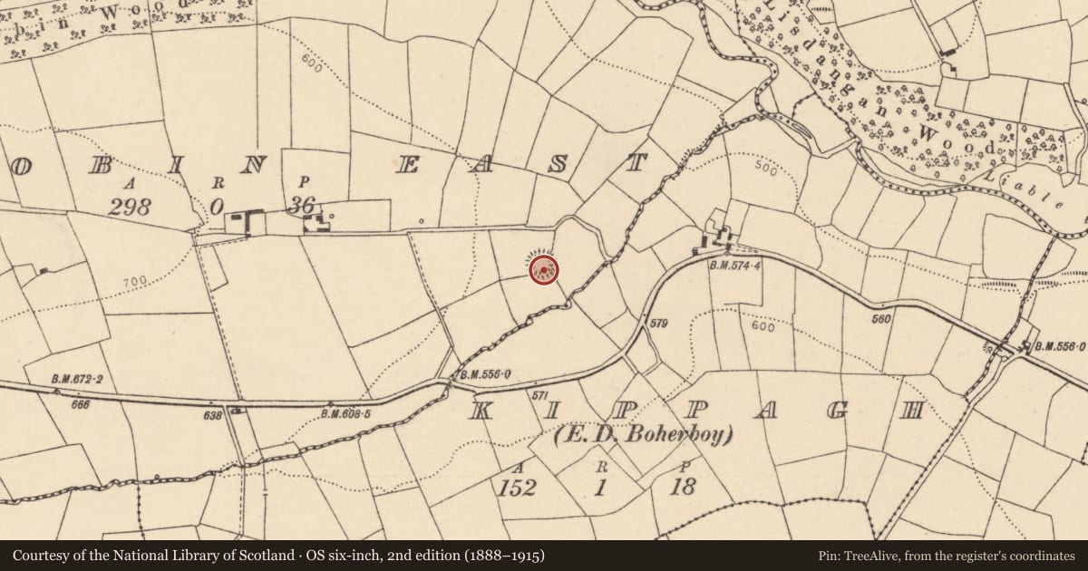 Ordnance Survey six-inch map, 2nd edition (1888–1915) covering the location of Ringfort - rath, Lisrobin East, County Cork, with a pin at the register's coordinates