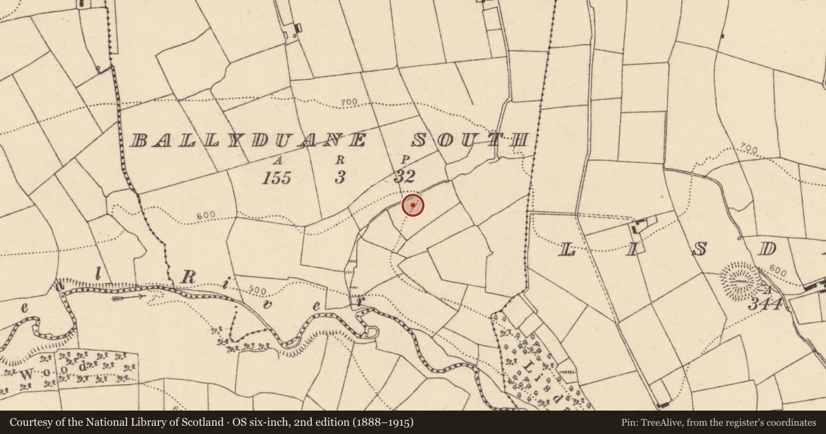 Ordnance Survey six-inch map, 2nd edition (1888–1915) covering the location of Fulacht fia, Ballyduane South, County Cork, with a pin at the register's coordinates