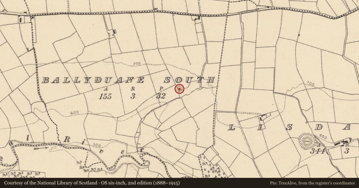 Ordnance Survey six-inch map, 2nd edition (1888–1915) covering the location of Souterrain, Ballyduane South, County Cork, with a pin at the register's coordinates
