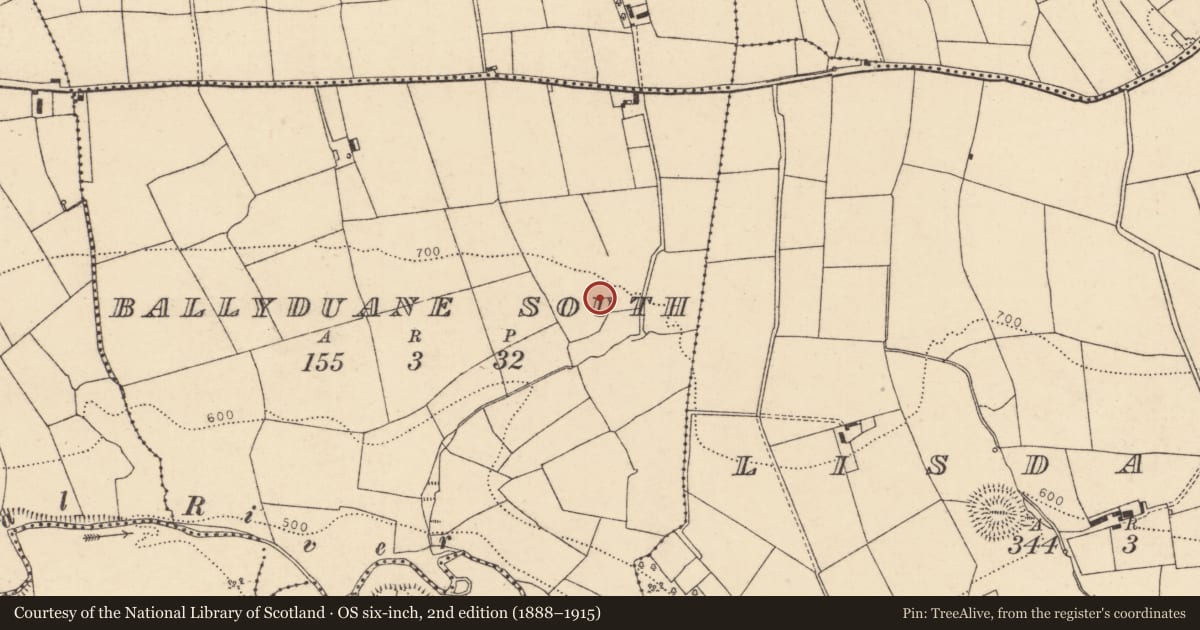 Ordnance Survey six-inch map, 2nd edition (1888–1915) covering the location of Fulacht fia, Ballyduane South, County Cork, with a pin at the register's coordinates