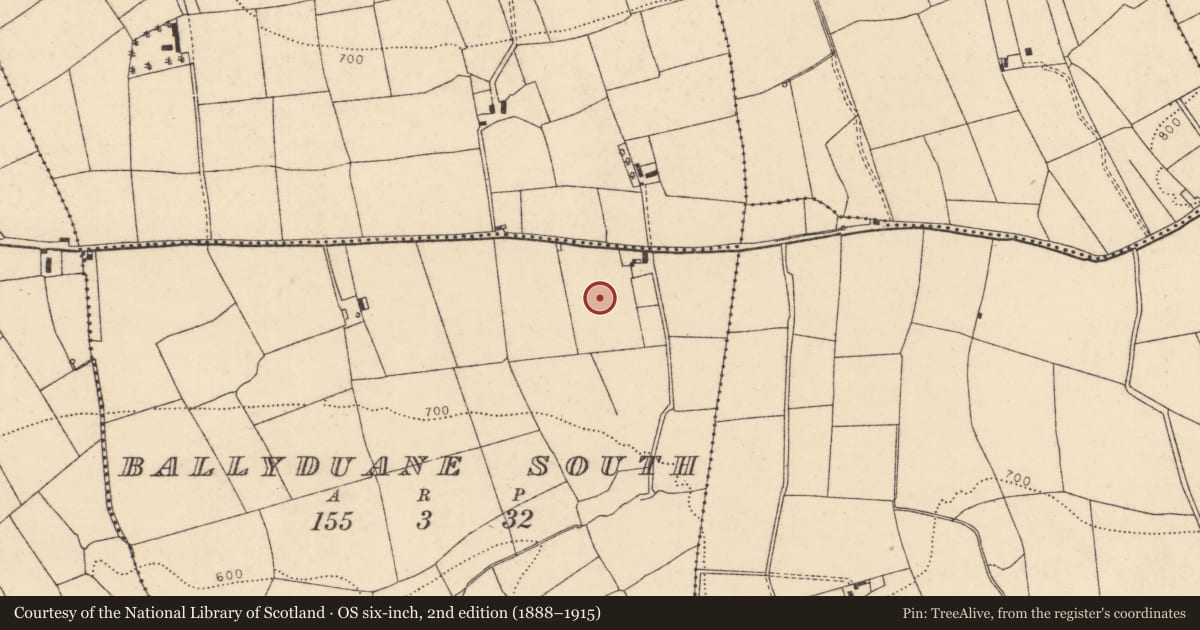 Ordnance Survey six-inch map, 2nd edition (1888–1915) covering the location of Standing stone, Ballyduane South, County Cork, with a pin at the register's coordinates