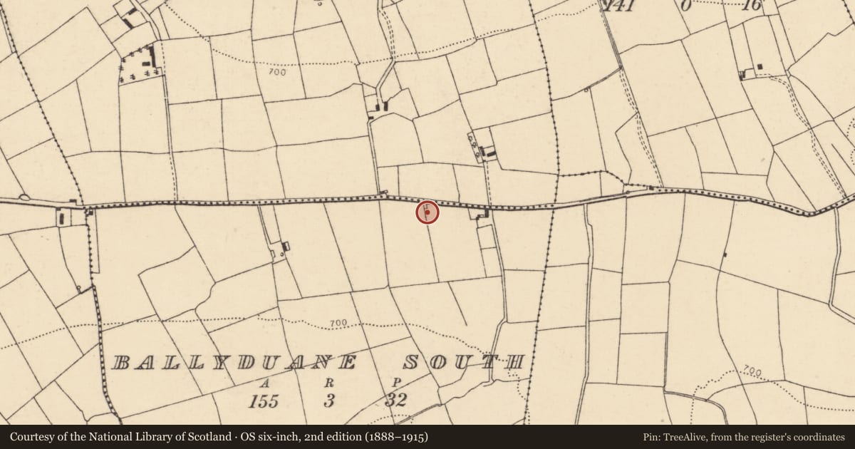 Ordnance Survey six-inch map, 2nd edition (1888–1915) covering the location of Kiln - lime, Ballyduane South, County Cork, with a pin at the register's coordinates