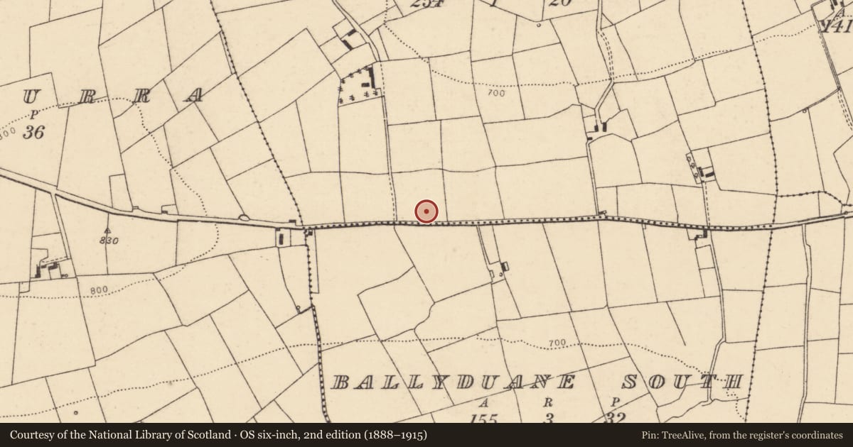 Ordnance Survey six-inch map, 2nd edition (1888–1915) covering the location of Enclosure, Ballyduane West, County Cork, with a pin at the register's coordinates