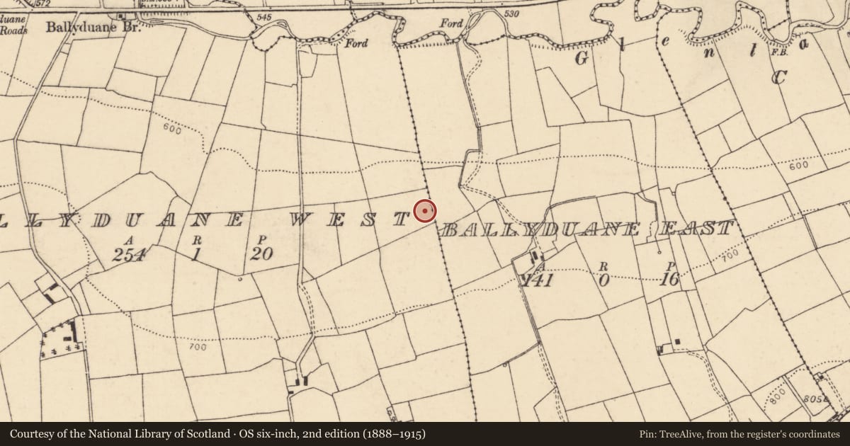Ordnance Survey six-inch map, 2nd edition (1888–1915) covering the location of Fulacht fia, Ballyduane West, County Cork, with a pin at the register's coordinates