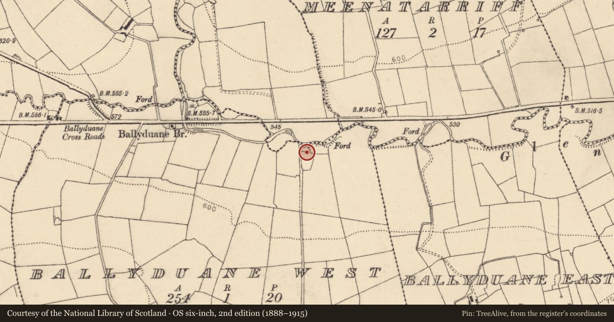 Ordnance Survey six-inch map, 2nd edition (1888–1915) covering the location of Kiln - lime, Ballyduane West, County Cork, with a pin at the register's coordinates