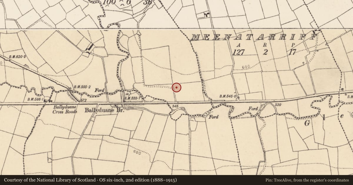 Ordnance Survey six-inch map, 2nd edition (1888–1915) covering the location of Fulacht fia, Gortnaglogh, County Cork, with a pin at the register's coordinates